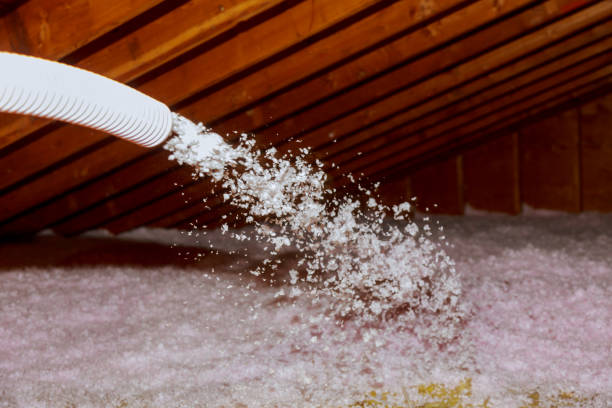 Best Spray Foam Insulation in Silver Lake, FL