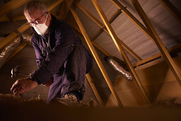 Professional Insulation Contractor in Silver Lake, FL