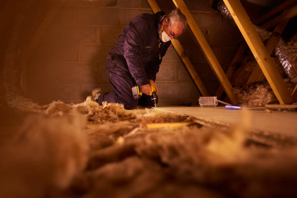 Best Energy Efficiency Insulation in Silver Lake, FL